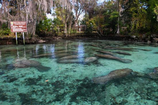 Three Sisters Spring