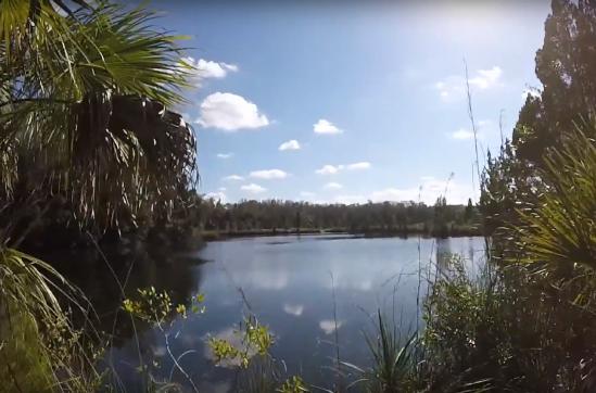 Hog Pond at Homosassa Tract
