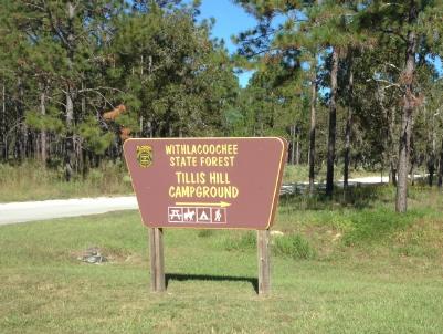 Tillis Hill campground