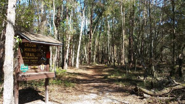 Hog Island Nature Trail