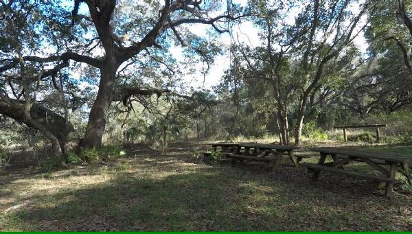 Little River picnic area