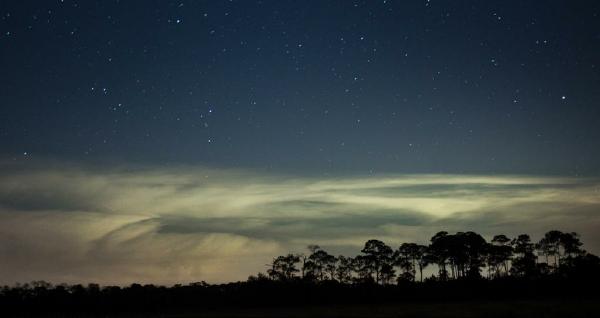 Cedar Key Scrub twilight