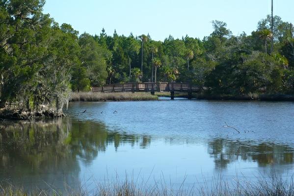 Withlacoochee Gulf Preserve