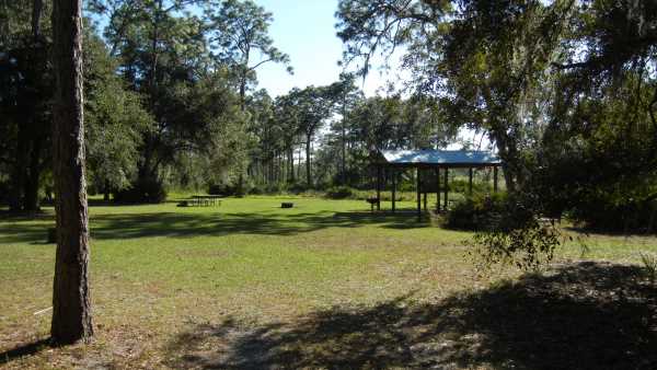 Campground at Cypress Creek Preserve