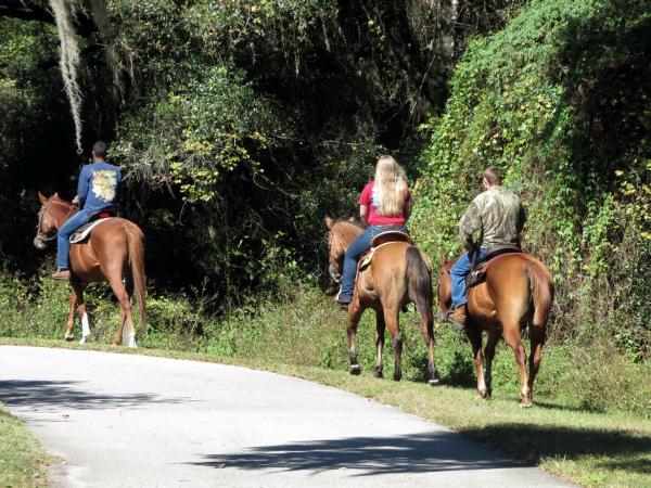 Horseback riding along Withlacoochee State Trail
