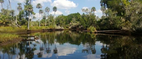 Econfina River