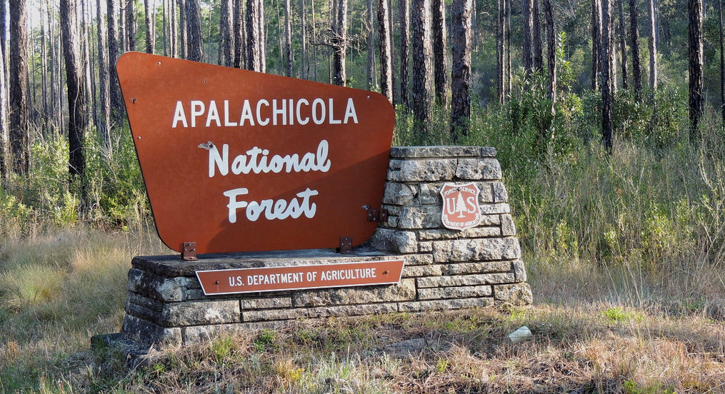 Apalachicola National Forest sign