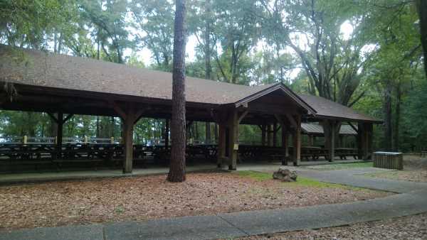 Picnic Pavilion at Lake Talquin State Park