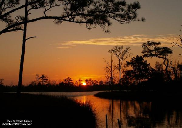 Ochlockonee River sunrise